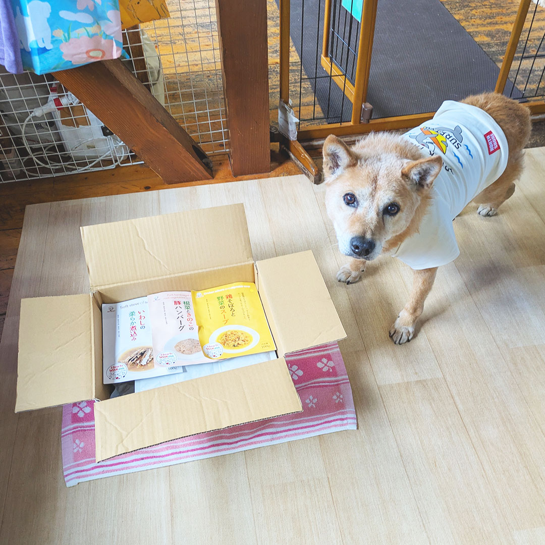 保護犬寄付プログラム